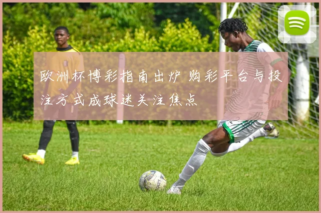 欧洲杯博彩指南出炉 购彩平台与投注方式成球迷关注焦点