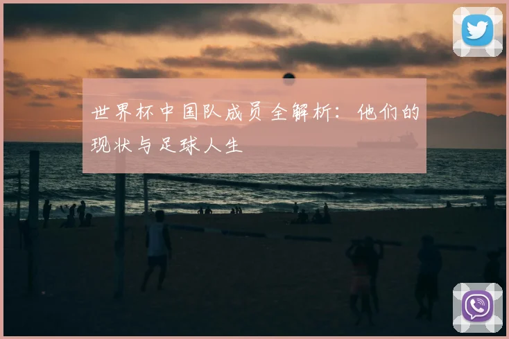 世界杯中国队成员全解析:他们的现状与足球人生