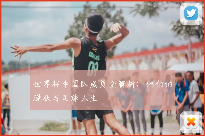 世界杯中国队成员全解析:他们的现状与足球人生